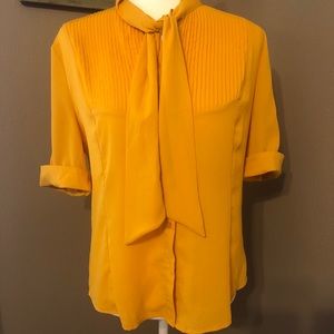 Unique Vintage sheer top